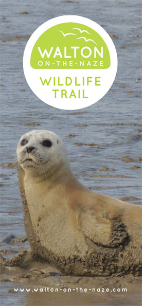 Walton Wildlife Leaflet